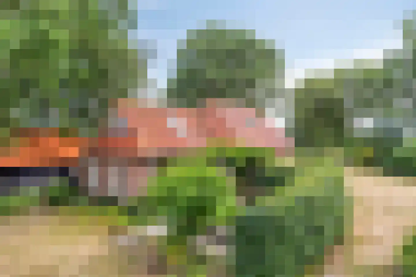 Bornego 14 Terband thumbnail 27