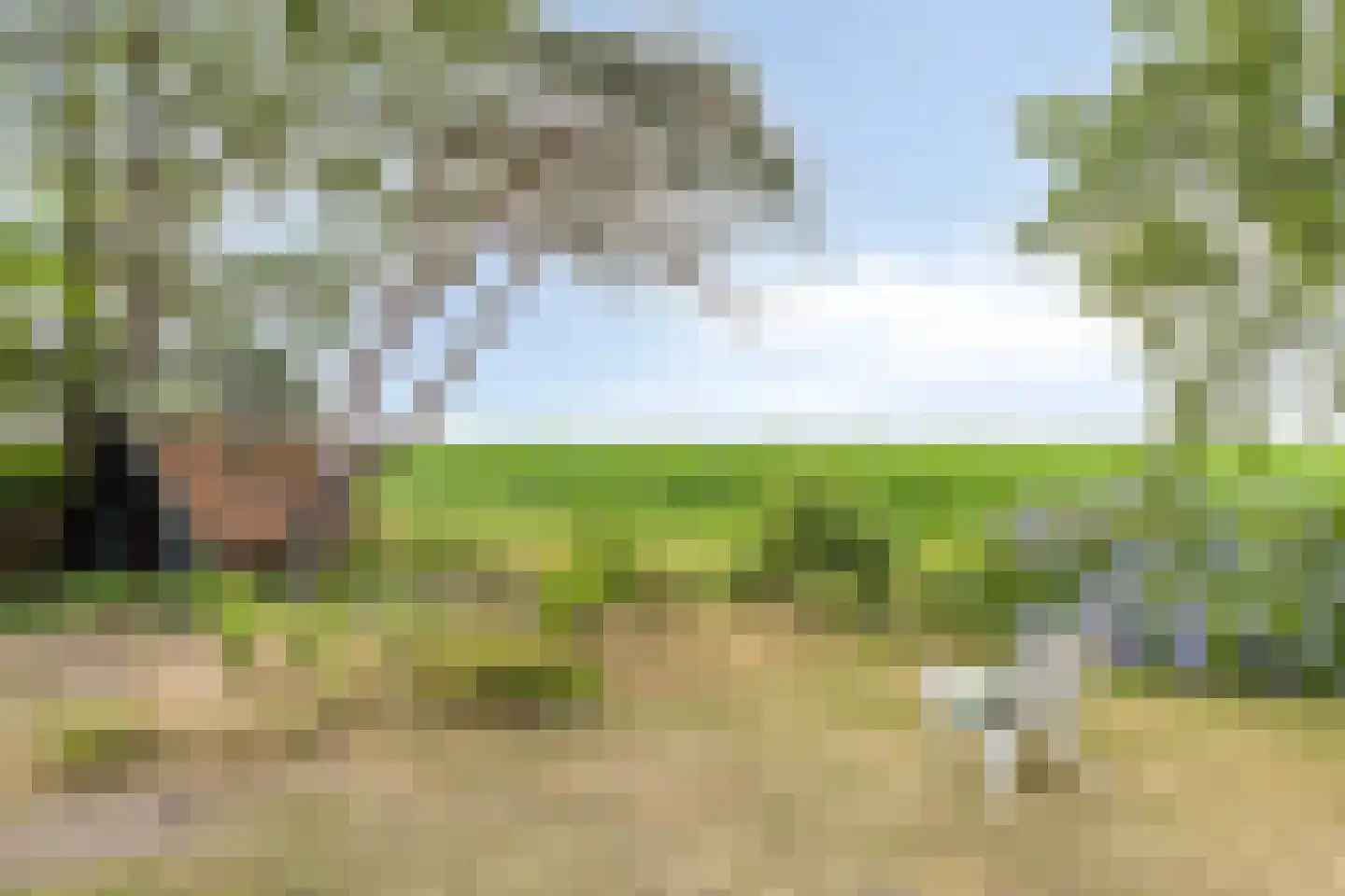 Bornego 14 Terband thumbnail 28