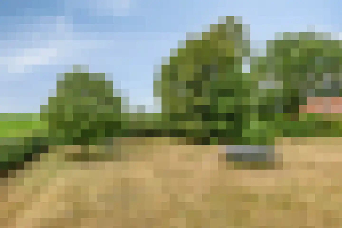 Bornego 14 Terband thumbnail 29