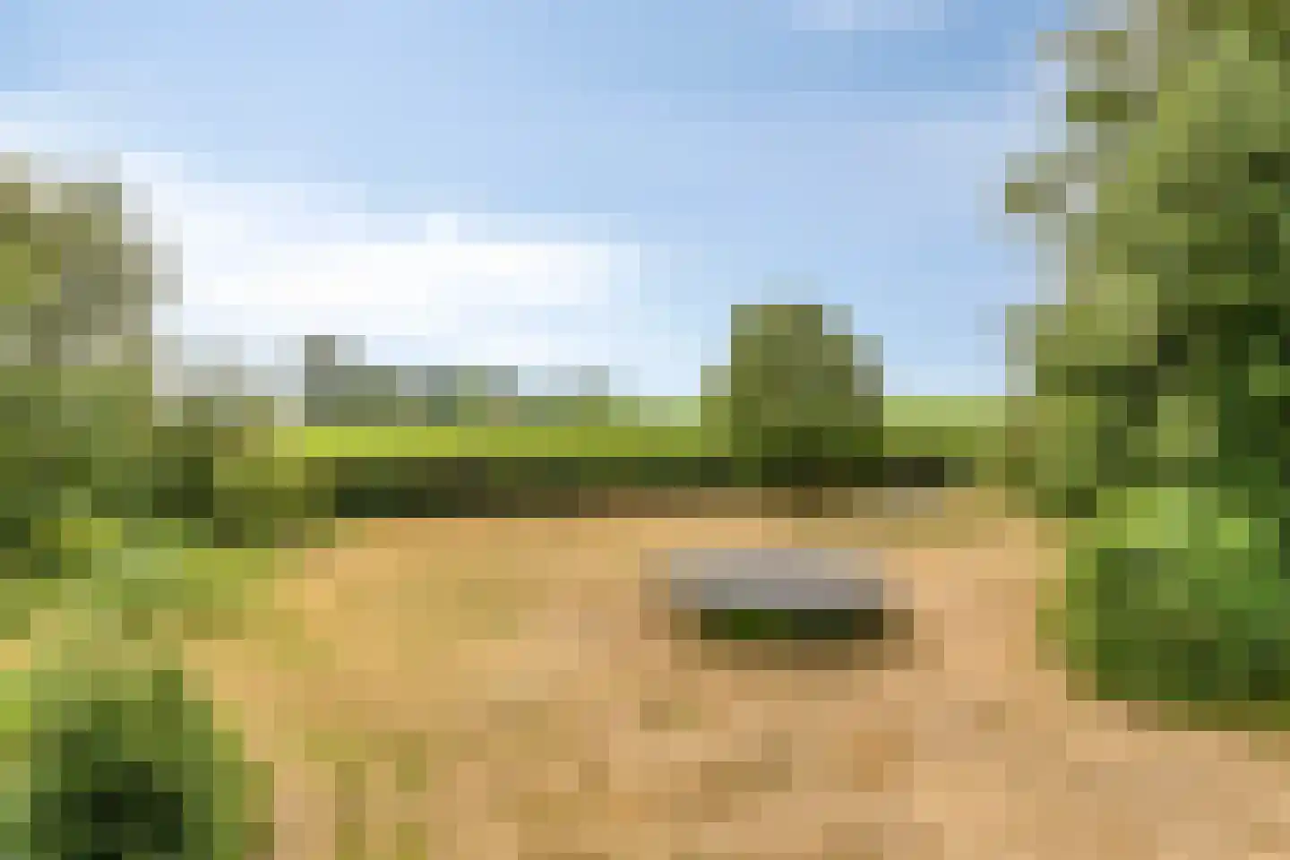 Bornego 14 Terband thumbnail 30