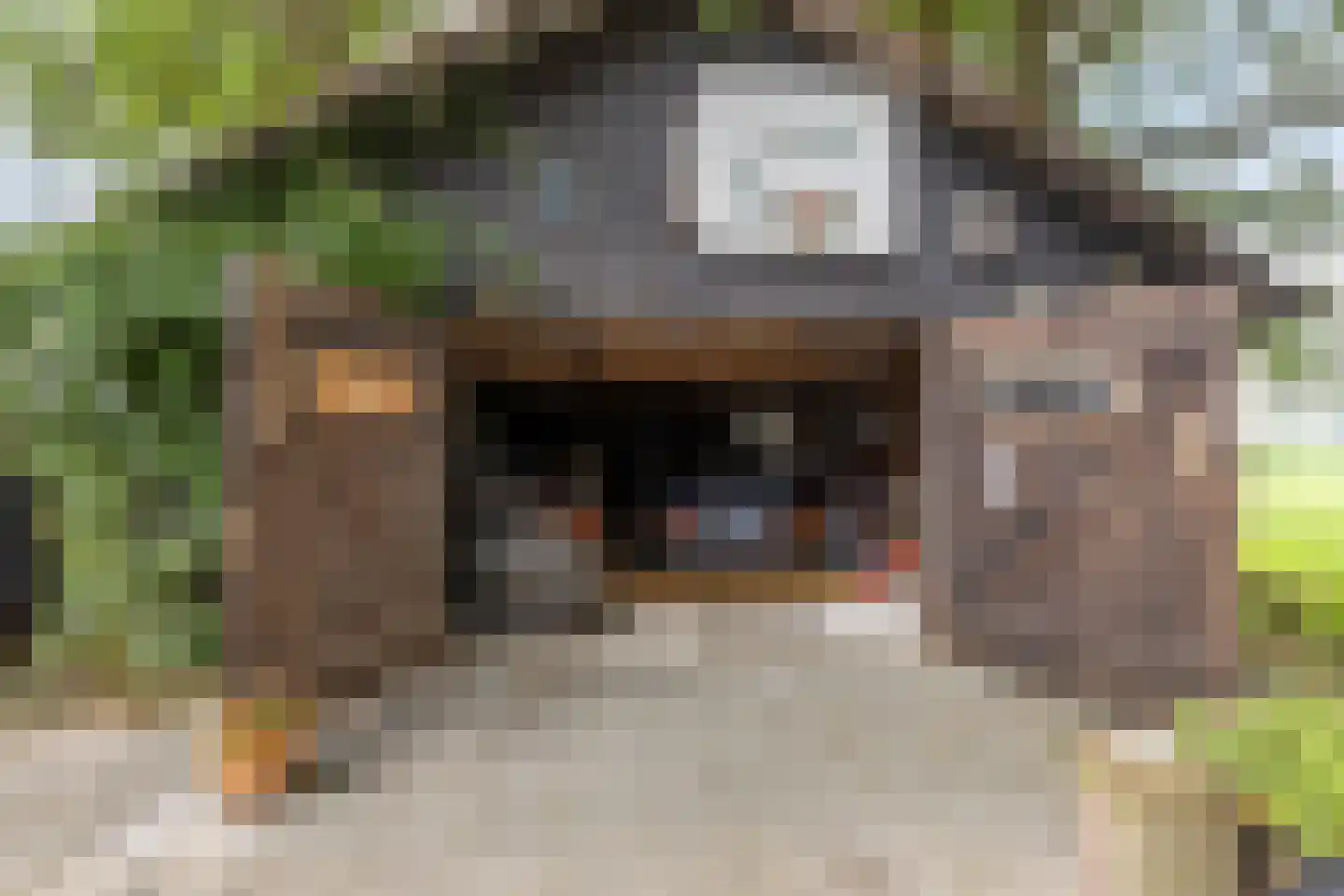 Bornego 14 Terband thumbnail 32