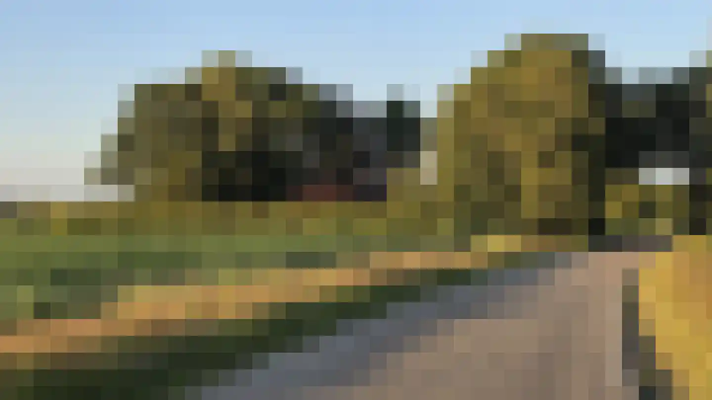Bornego 14 Terband thumbnail 35