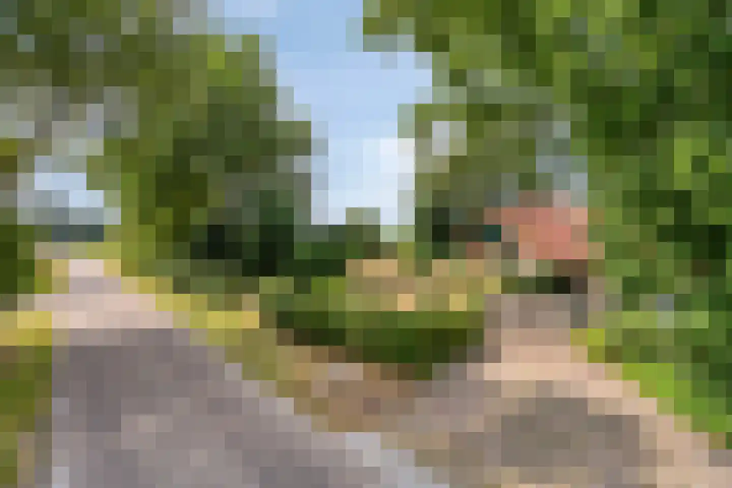 Bornego 14 Terband thumbnail 36