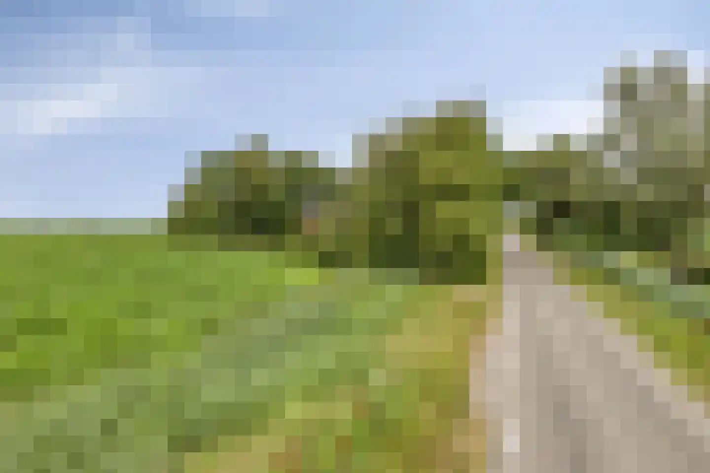 Bornego 14 Terband thumbnail 37