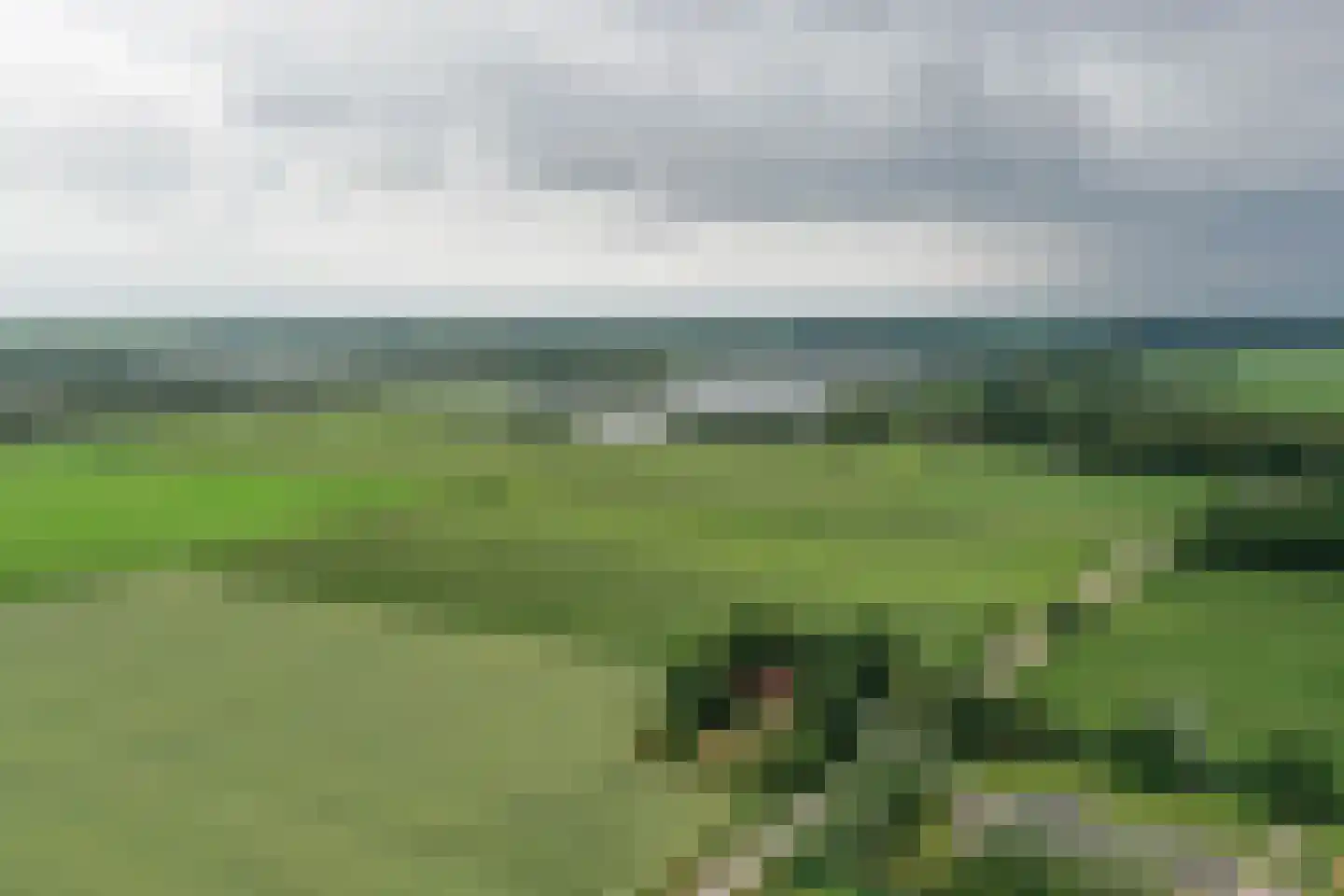 Bornego 14 Terband thumbnail 38