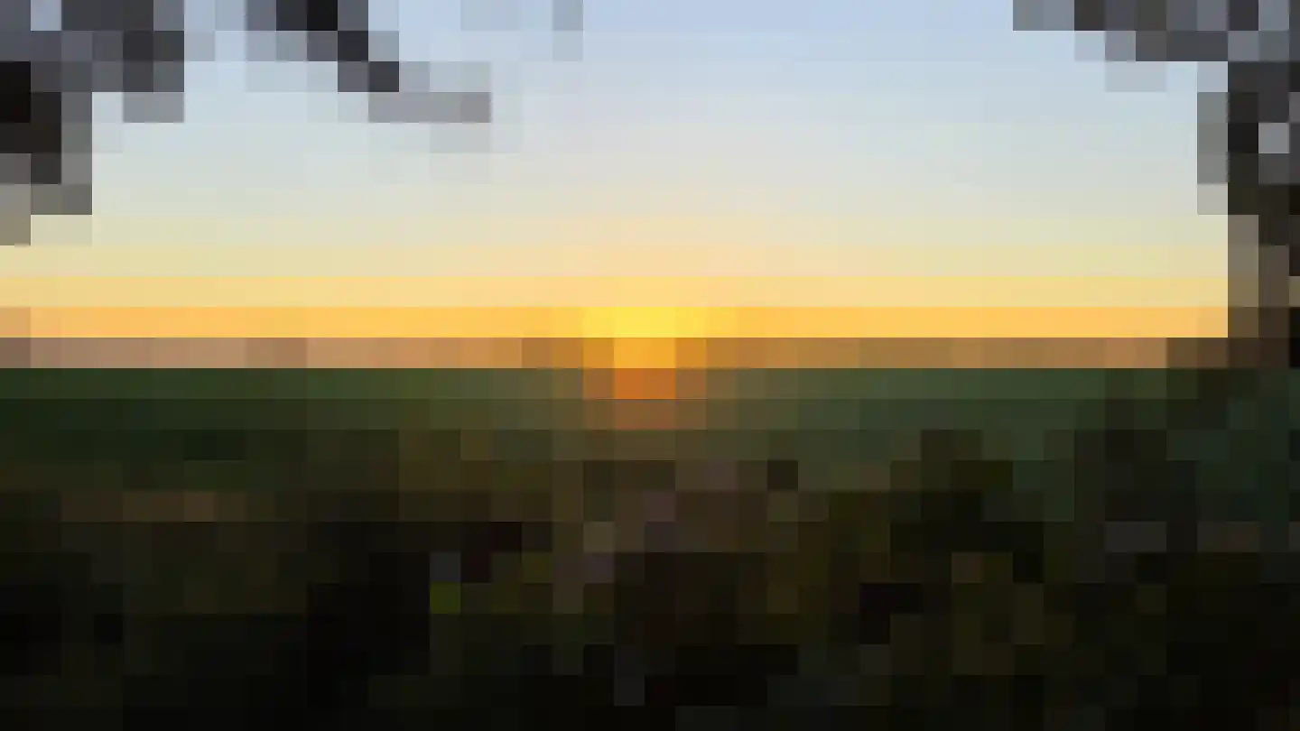 Bornego 14 Terband thumbnail 4