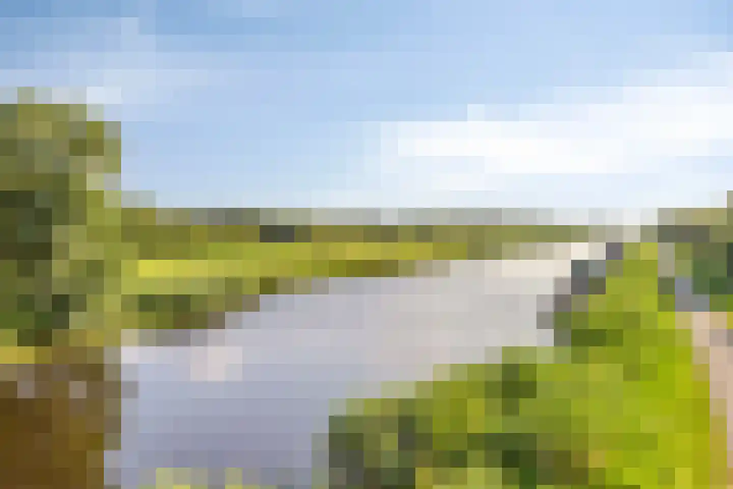 Bornego 14 Terband thumbnail 42