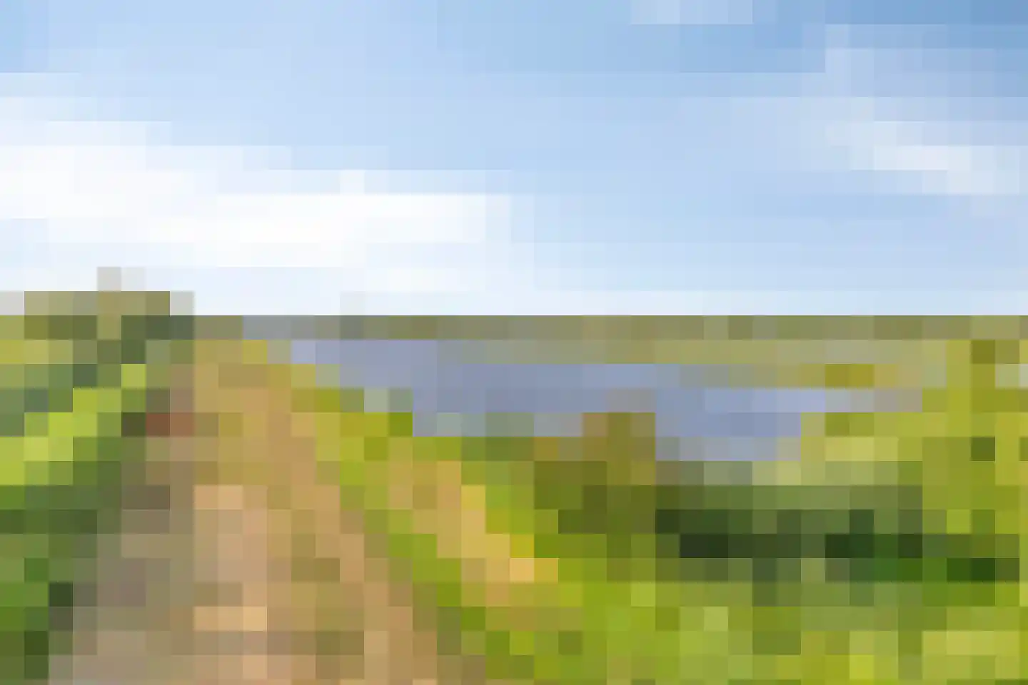 Bornego 14 Terband thumbnail 43