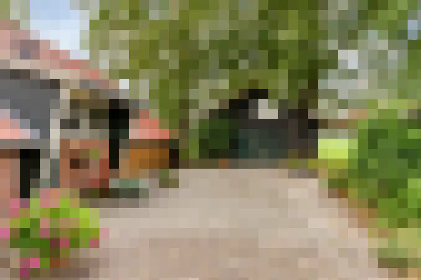 Bornego 14 Terband thumbnail 5