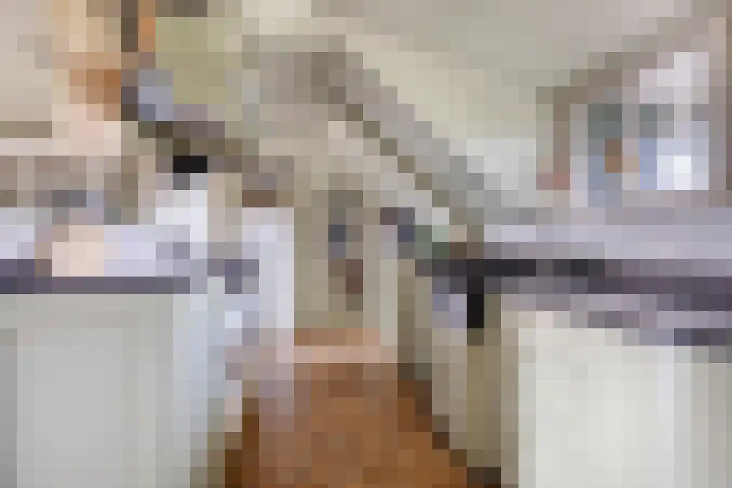 Bornego 14 Terband thumbnail 7