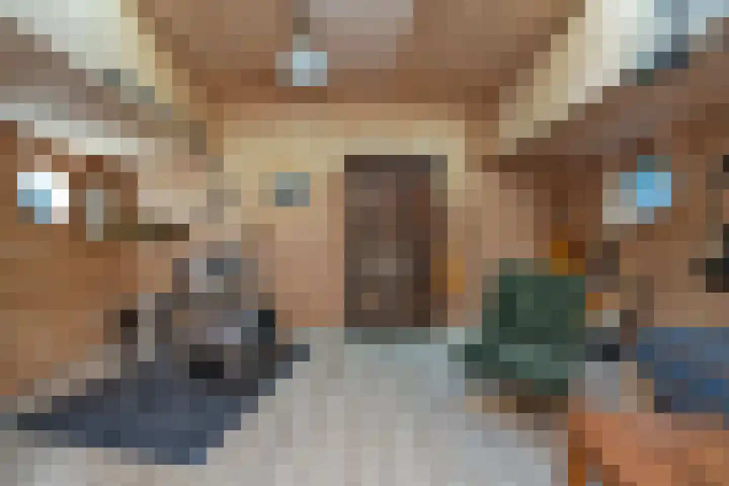 Borneokade 106 Amsterdam thumbnail 48