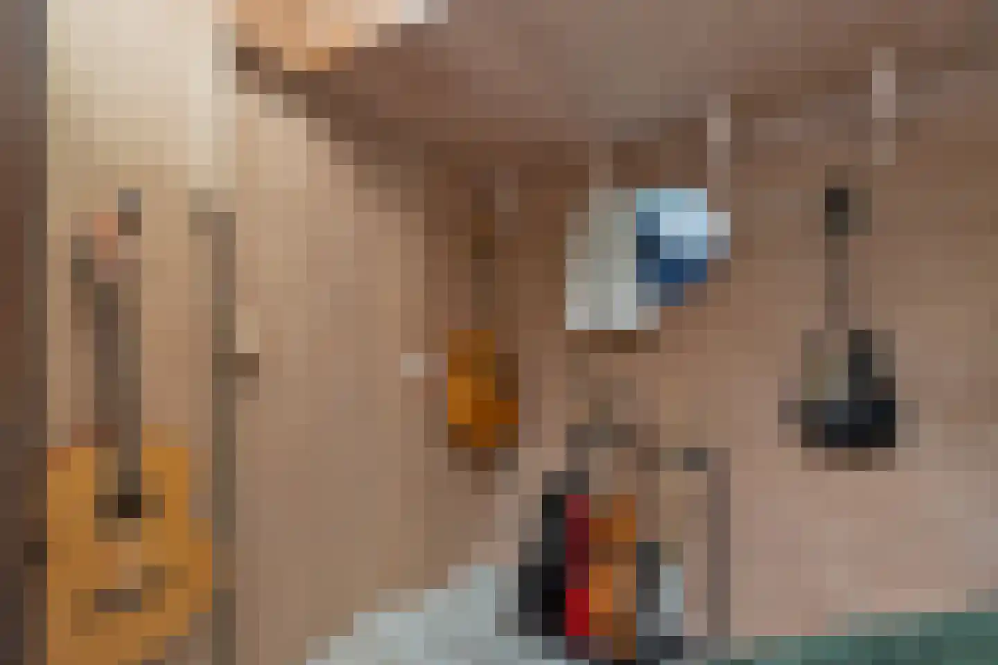 Borneokade 106 Amsterdam thumbnail 49