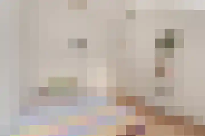 Borneokade 147 Amsterdam thumbnail 10