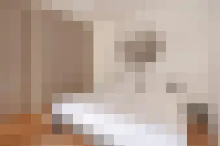 Borneokade 147 Amsterdam thumbnail 13