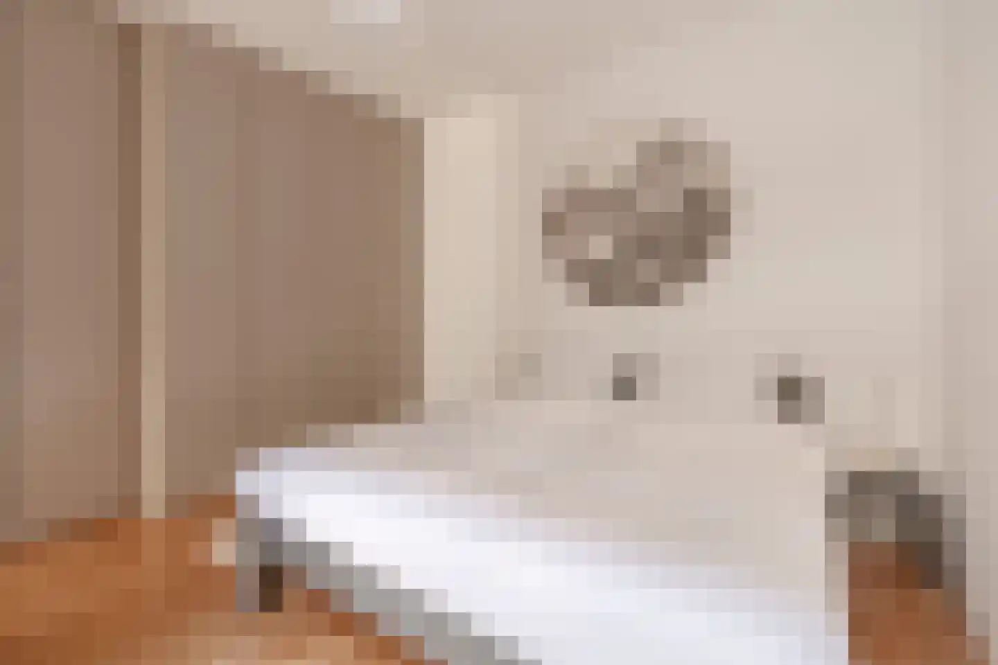 Borneokade 147 Amsterdam thumbnail 13