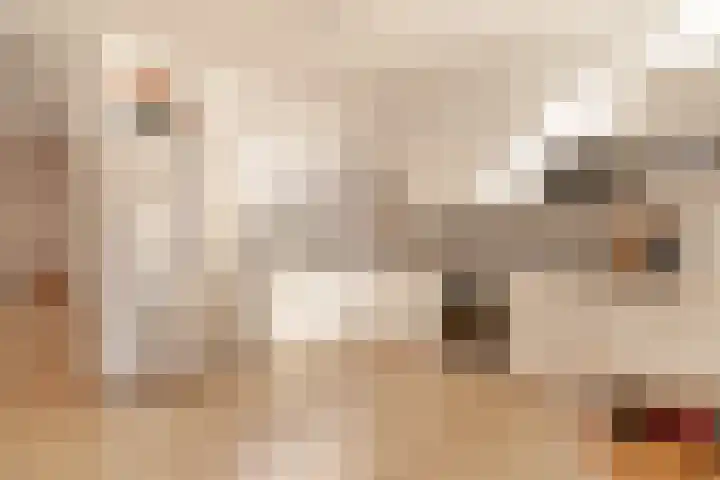 Borneokade 147 Amsterdam thumbnail 17