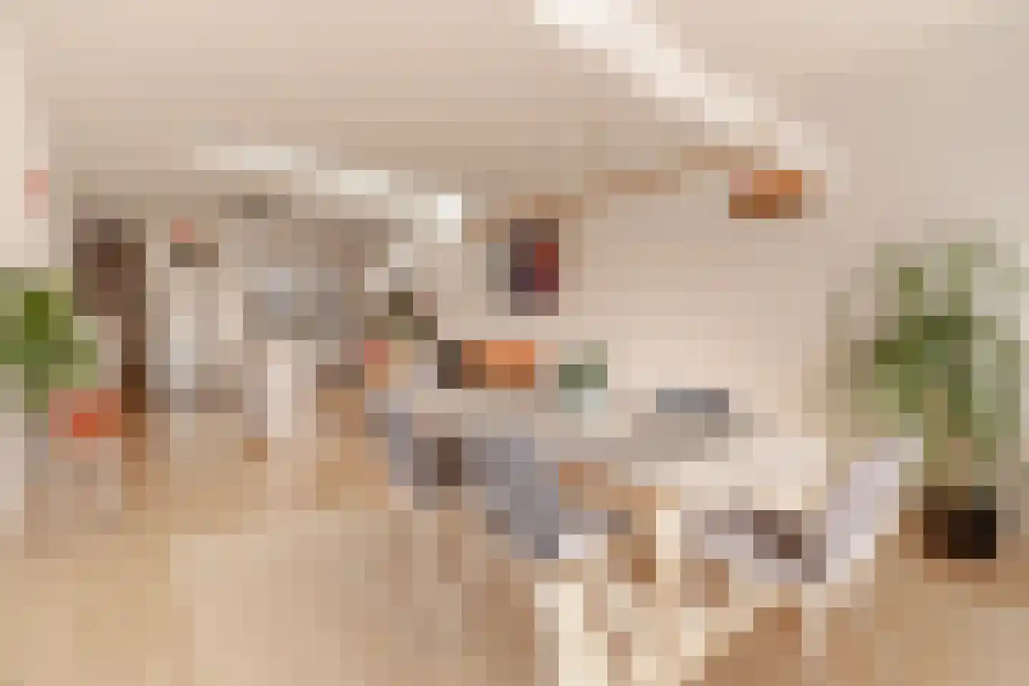 Borneokade 147 Amsterdam thumbnail 21
