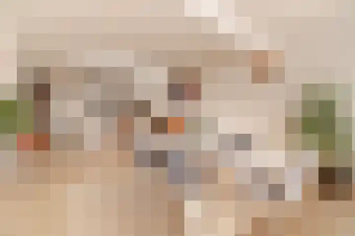 Borneokade 147 Amsterdam thumbnail 21