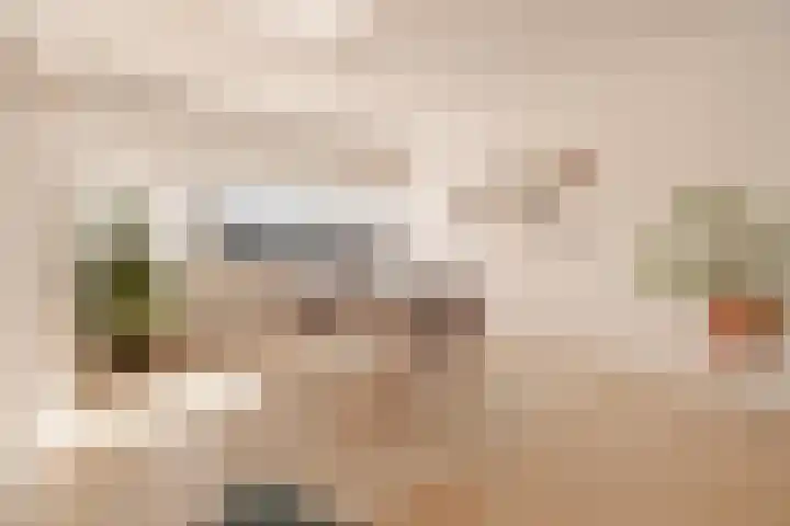 Borneokade 147 Amsterdam thumbnail 23