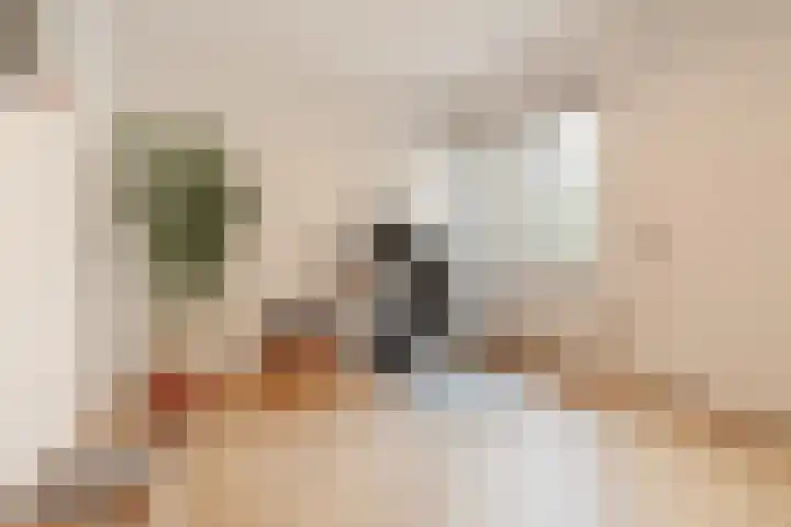Borneokade 147 Amsterdam thumbnail 25