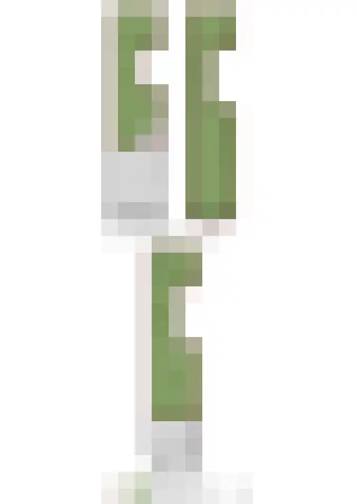 Borneokade 147 Amsterdam thumbnail 44