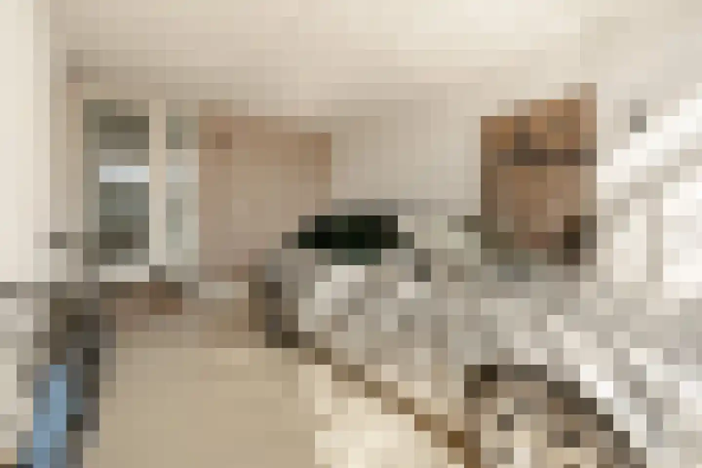 Borneokade 147 Amsterdam thumbnail 8