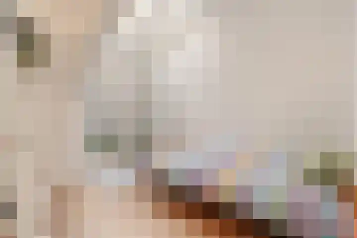 Borneokade 147 Amsterdam thumbnail 9