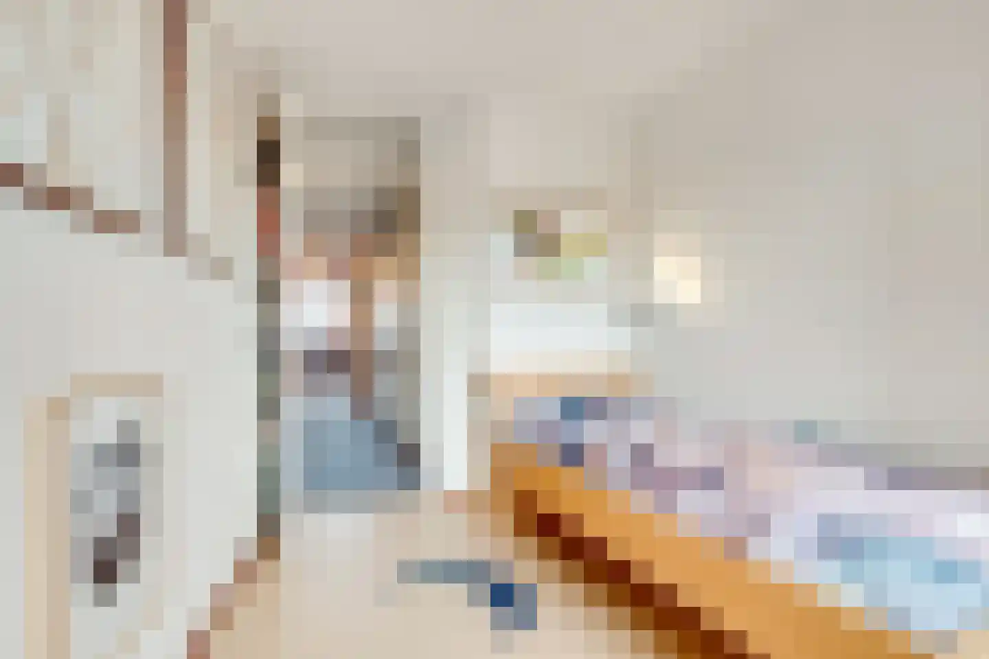Borneokade 315 Amsterdam thumbnail 41