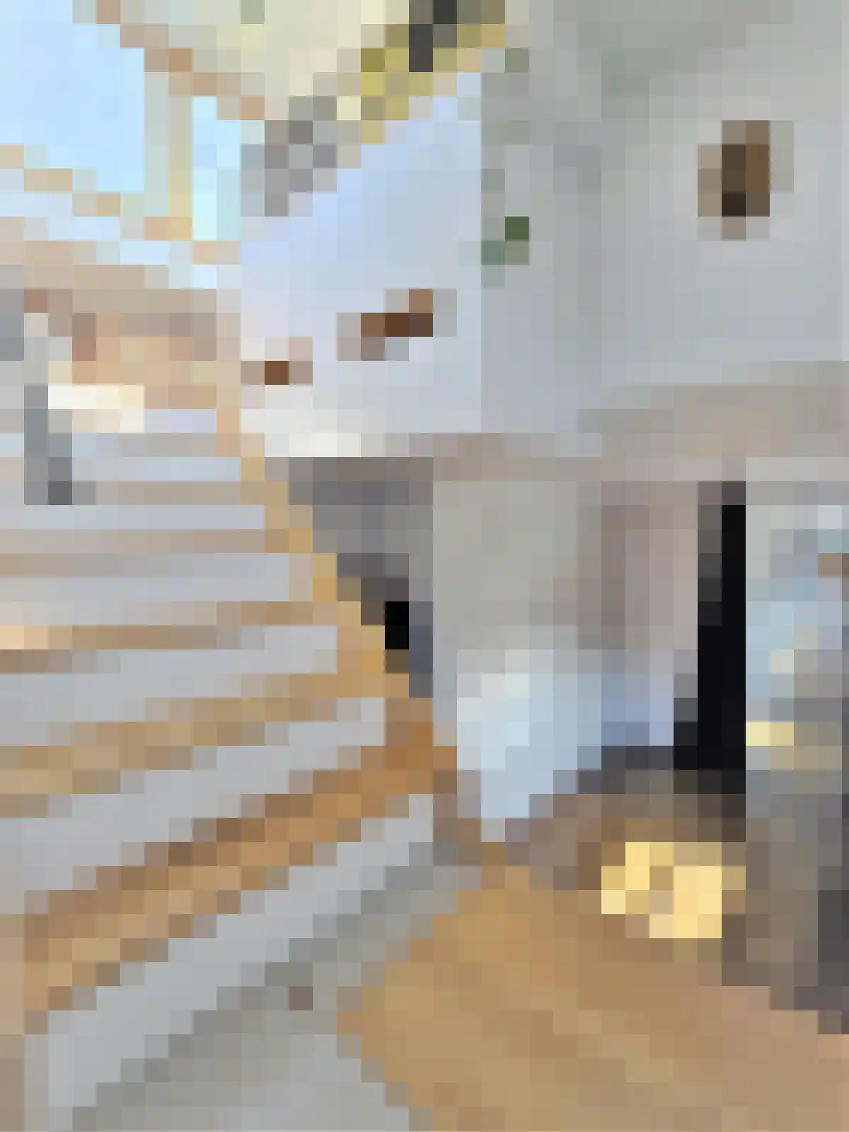 Borneokade 84 Amsterdam thumbnail 5