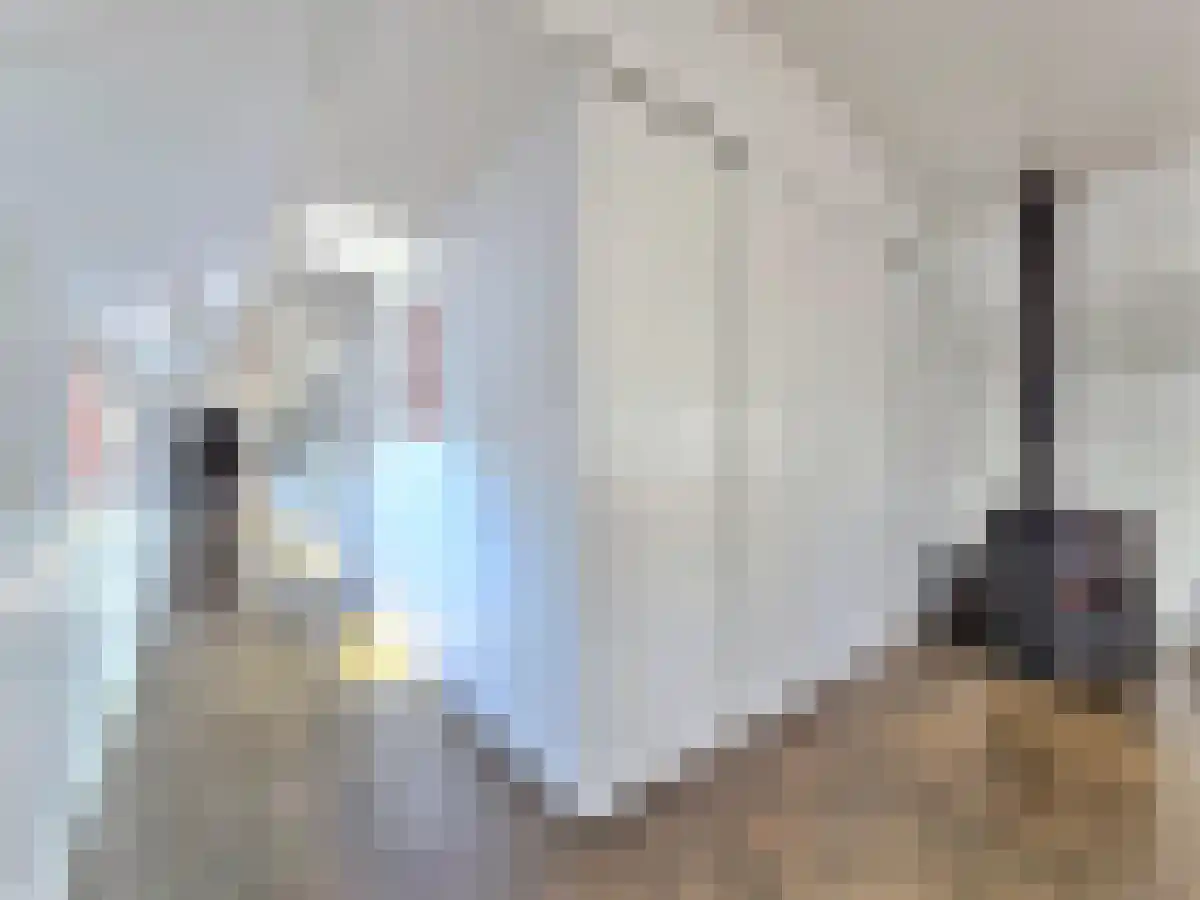 Borneokade 84 Amsterdam thumbnail 6