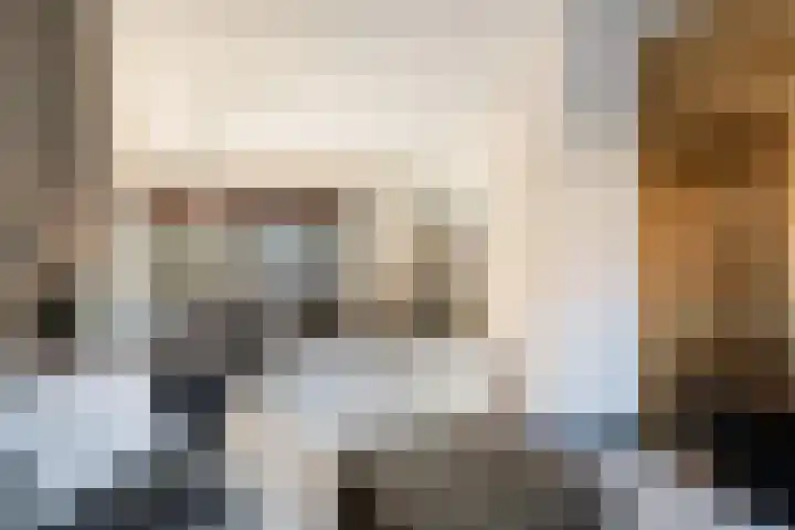 Borneolaan 1 Ede thumbnail 11
