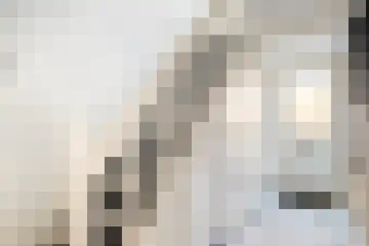 Borneolaan 1 Ede thumbnail 12