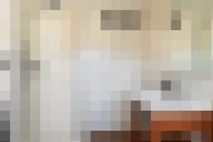 Borneolaan 1 Ede thumbnail 20