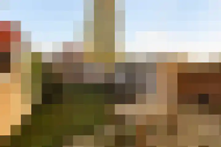 Borneolaan 1 Ede thumbnail 24