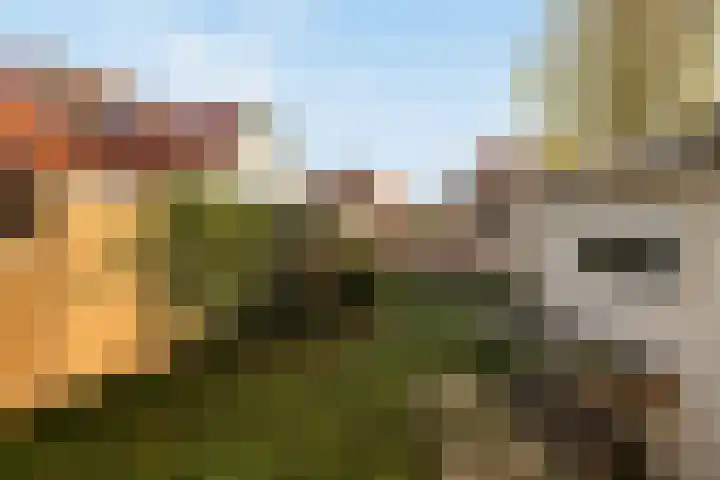 Borneolaan 1 Ede thumbnail 25
