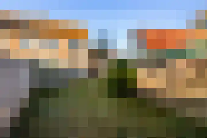 Borneolaan 1 Ede thumbnail 26
