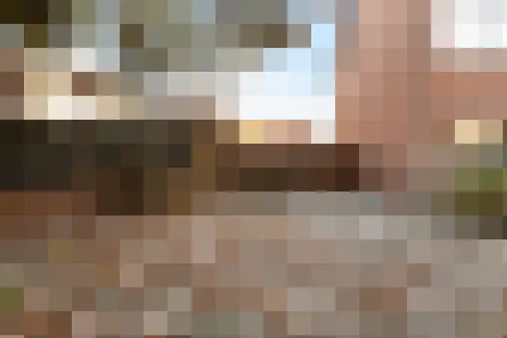 Borneolaan 1 Ede thumbnail 28