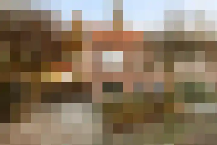 Borneolaan 1 Ede thumbnail 30