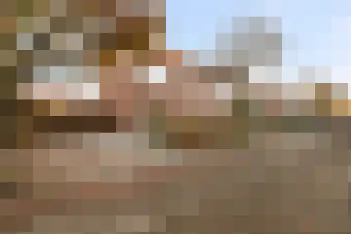 Borneolaan 1 Ede thumbnail 31
