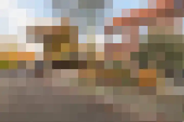 Borneolaan 1 Ede thumbnail 32