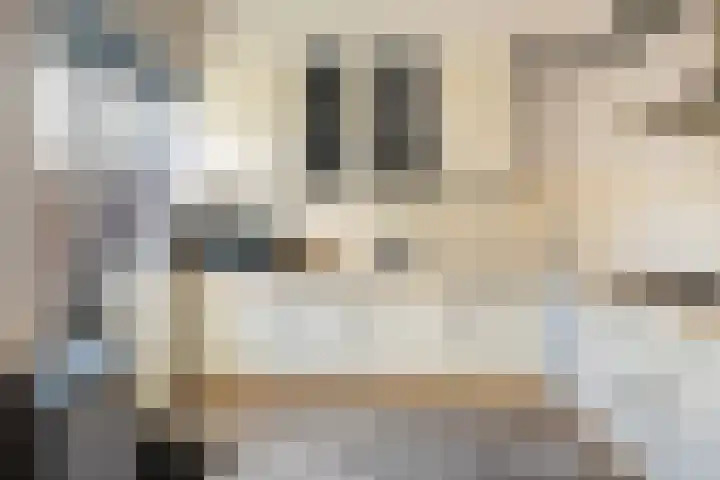 Borneolaan 1 Ede thumbnail 5