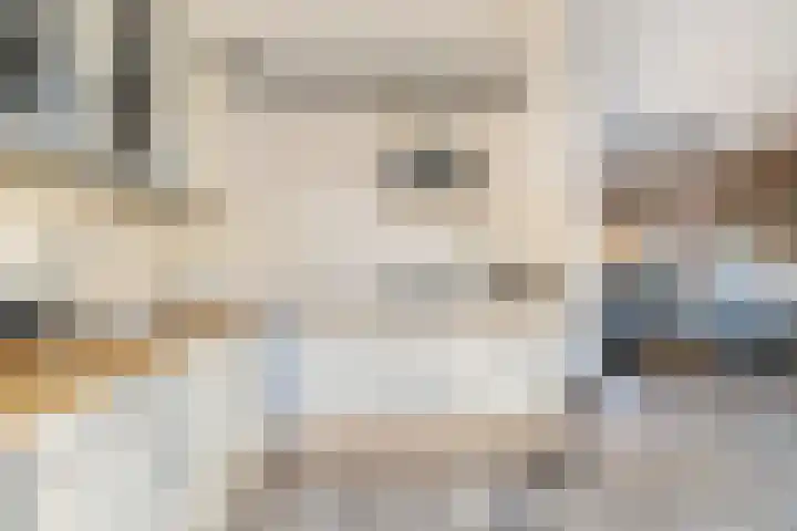 Borneolaan 1 Ede thumbnail 6