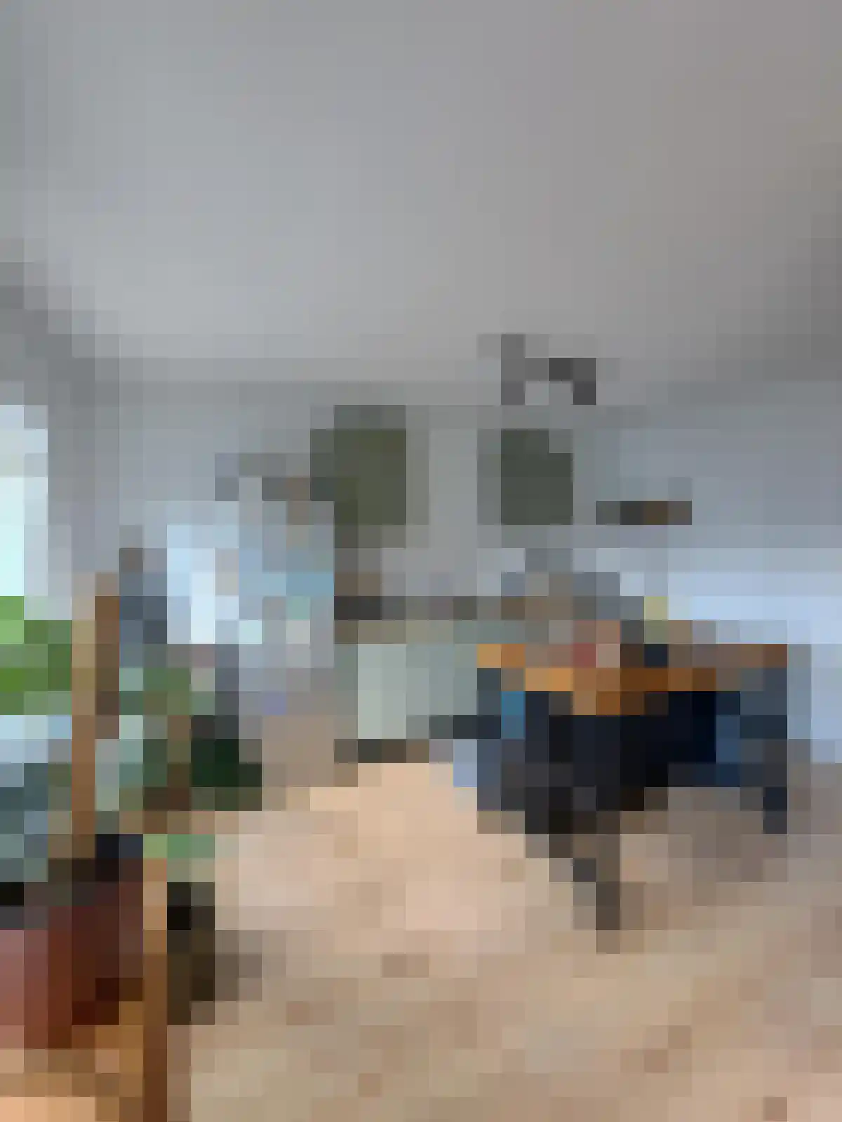 Borneolaan 105 Amsterdam thumbnail 5