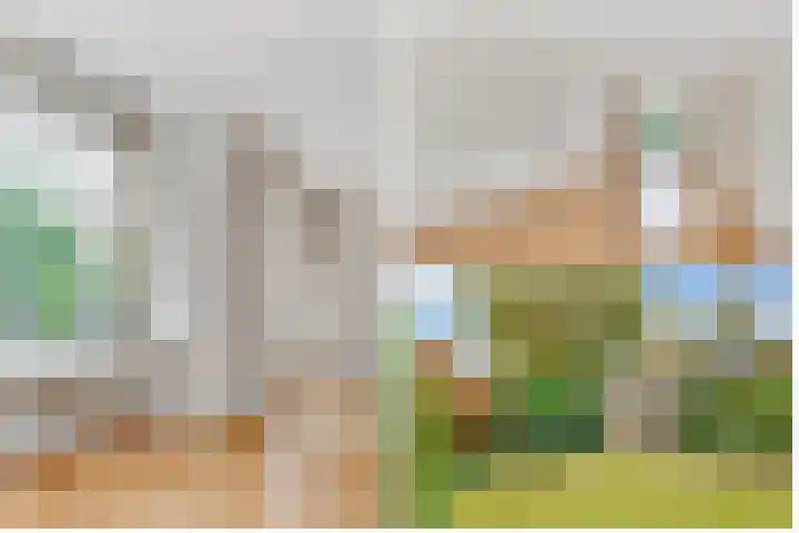 Borneolaan 12 Hilversum thumbnail 11