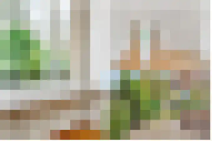 Borneolaan 12 Hilversum thumbnail 13