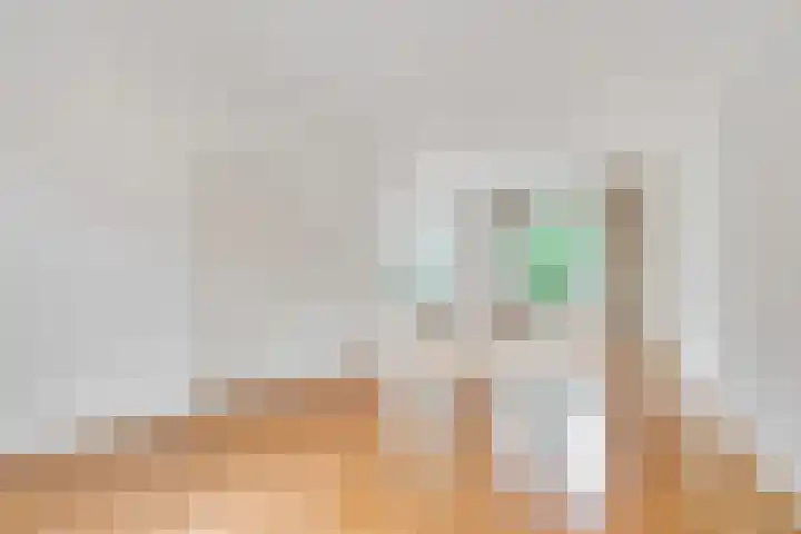 Borneolaan 12 Hilversum thumbnail 16