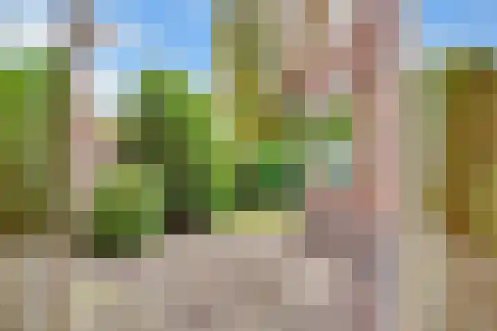 Borneolaan 12 Hilversum thumbnail 17