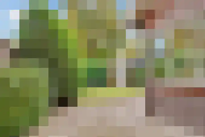 Borneolaan 12 Hilversum thumbnail 18