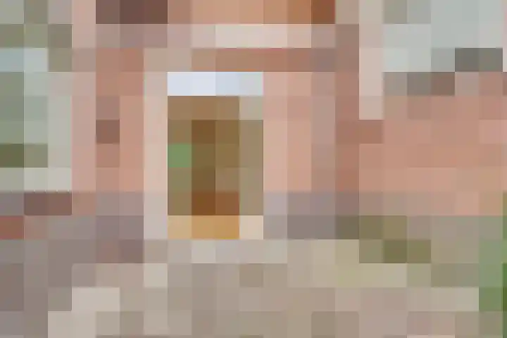 Borneolaan 12 Hilversum thumbnail 19