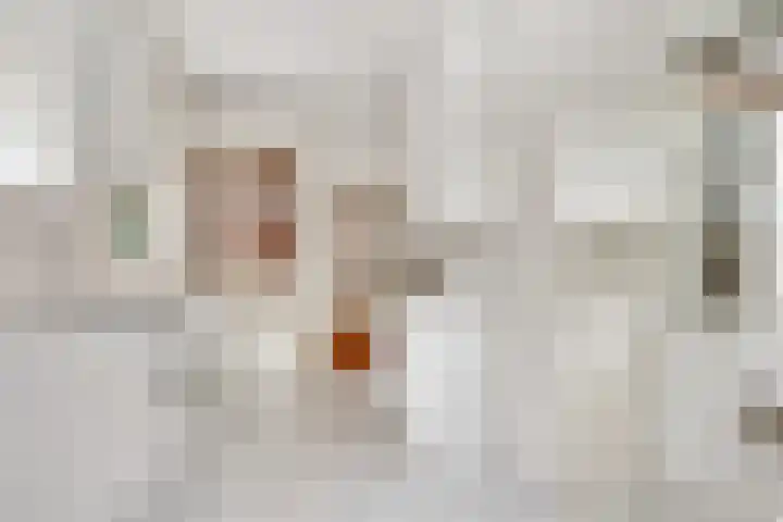 Borneolaan 12 Hilversum thumbnail 22